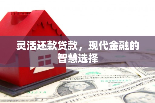 连山灵活还款贷款，现代金融的智慧选择