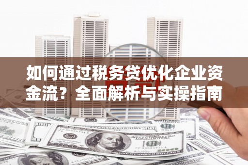 连山如何通过税务贷优化企业资金流？全面解析与实操指南