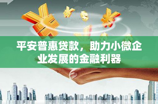 连山平安普惠贷款，助力小微企业发展的金融利器
