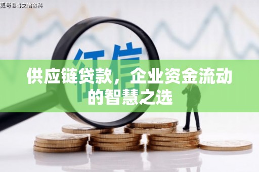 连山供应链贷款，企业资金流动的智慧之选