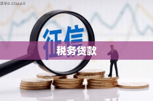 连山税务贷款