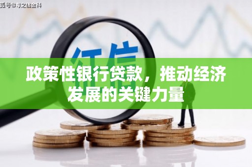 连山政策性银行贷款，推动经济发展的关键力量
