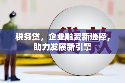 连山税务贷，企业融资新选择，助力发展新引擎