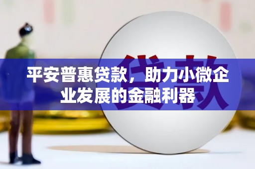 连山平安普惠贷款，助力小微企业发展的金融利器