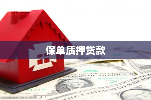 连山保单质押贷款