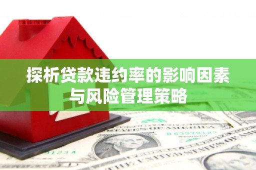 连山探析贷款违约率的影响因素与风险管理策略
