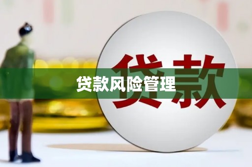 连山贷款风险管理