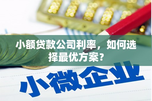 连山小额贷款公司利率，如何选择最优方案？