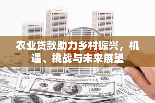 连山农业贷款助力乡村振兴，机遇、挑战与未来展望