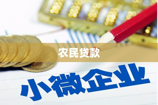 连山农民贷款