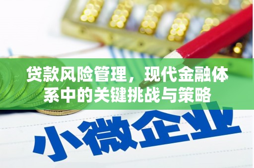 连山贷款风险管理，现代金融体系中的关键挑战与策略