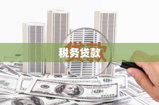 连山税务贷款