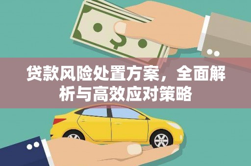 连山贷款风险处置方案，全面解析与高效应对策略