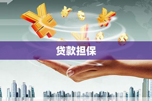 连山贷款担保