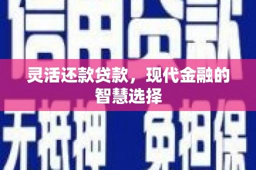 连山灵活还款贷款，现代金融的智慧选择