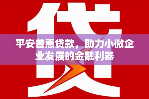 连山平安普惠贷款，助力小微企业发展的金融利器