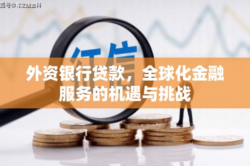 连山外资银行贷款，全球化金融服务的机遇与挑战