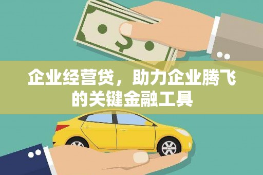 连山企业经营贷，助力企业腾飞的关键金融工具