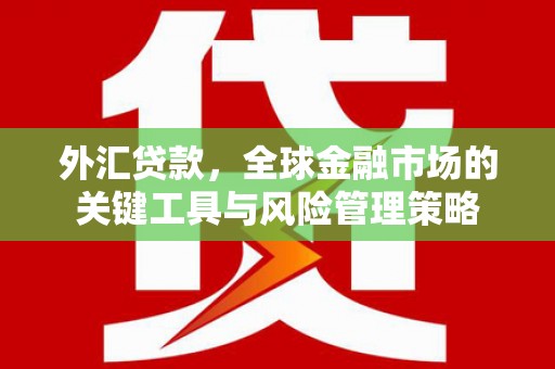 连山外汇贷款，全球金融市场的关键工具与风险管理策略