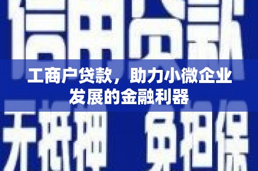 连山工商户贷款，助力小微企业发展的金融利器