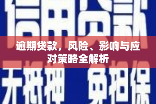 连山逾期贷款，风险、影响与应对策略全解析
