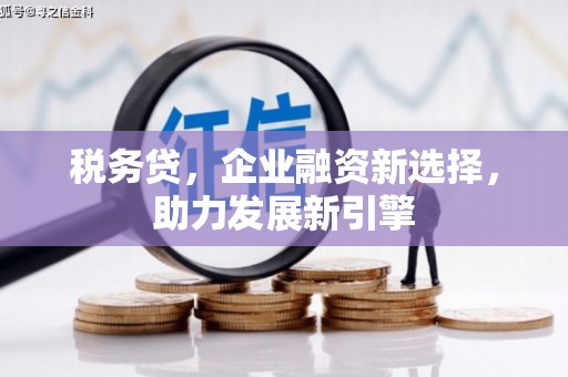 连山税务贷，企业融资新选择，助力发展新引擎