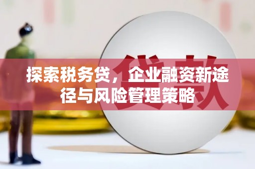 连山探索税务贷，企业融资新途径与风险管理策略