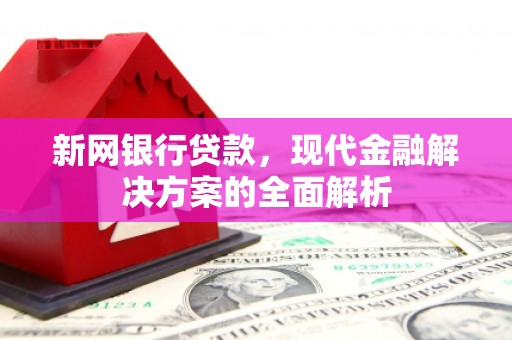 连山新网银行贷款，现代金融解决方案的全面解析