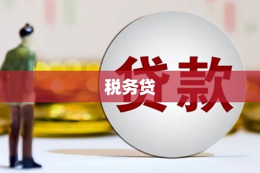 连山税务贷