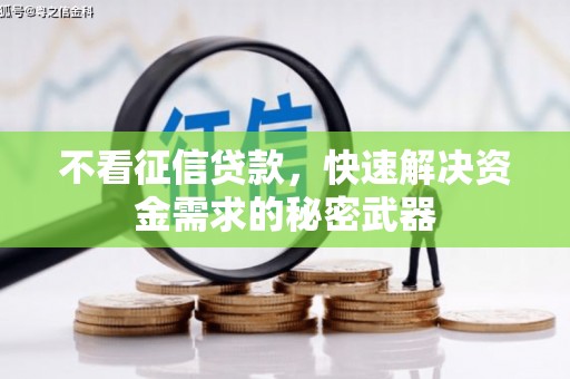 连山不看征信贷款，快速解决资金需求的秘密武器