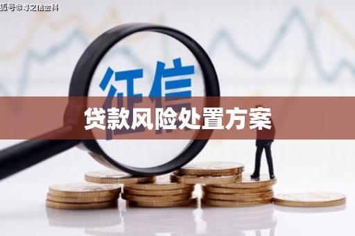 连山贷款风险处置方案