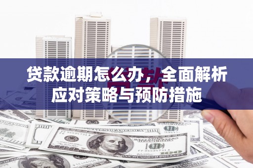连山贷款逾期怎么办，全面解析应对策略与预防措施
