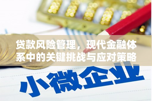 连山贷款风险管理，现代金融体系中的关键挑战与应对策略
