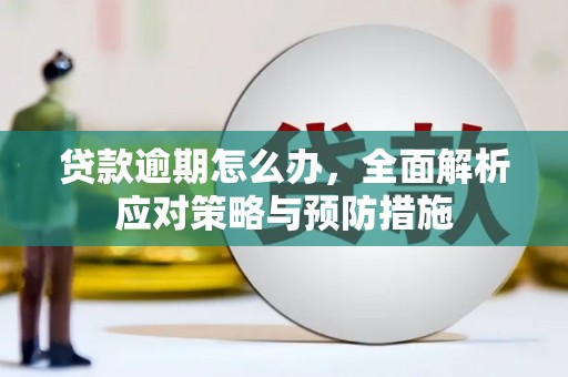 连山贷款逾期怎么办，全面解析应对策略与预防措施