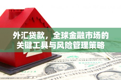 连山外汇贷款，全球金融市场的关键工具与风险管理策略