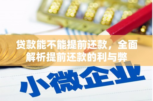 连山贷款能不能提前还款，全面解析提前还款的利与弊