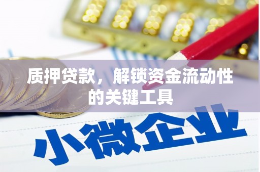 连山质押贷款，解锁资金流动性的关键工具