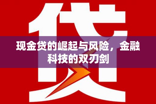 连山现金贷的崛起与风险，金融科技的双刃剑