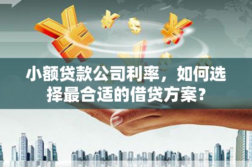 连山小额贷款公司利率，如何选择最合适的借贷方案？