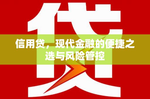 连山信用贷，现代金融的便捷之选与风险管控