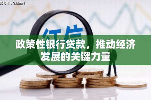 连山政策性银行贷款，推动经济发展的关键力量