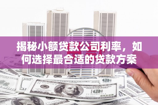 连山揭秘小额贷款公司利率，如何选择最合适的贷款方案