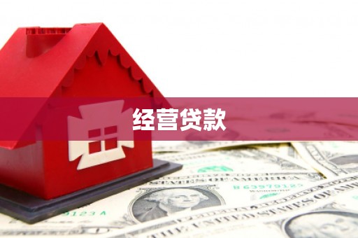 连山经营贷款