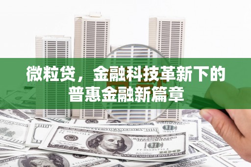连山微粒贷，金融科技革新下的普惠金融新篇章
