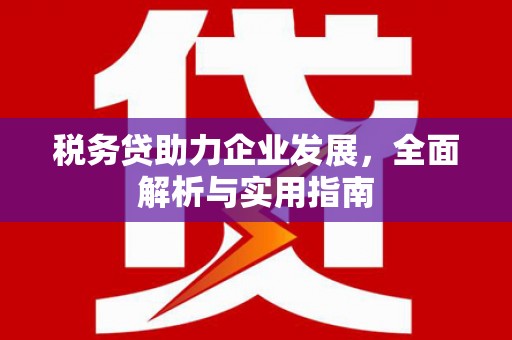 连山税务贷助力企业发展，全面解析与实用指南