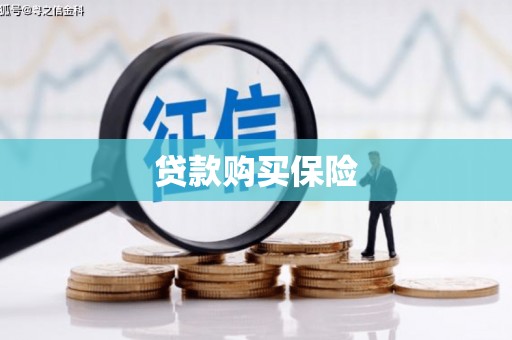 连山贷款购买保险