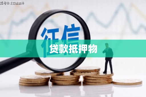 连山贷款抵押物