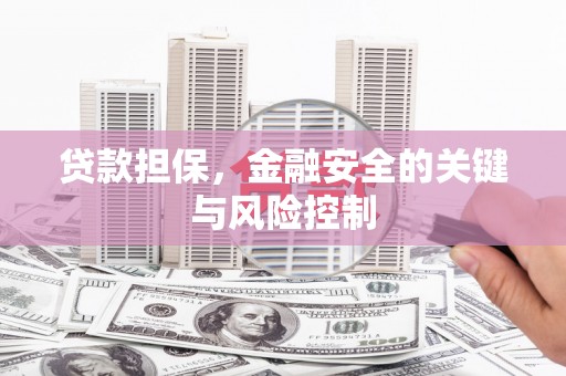 连山贷款担保，金融安全的关键与风险控制