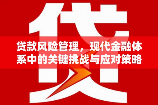 连山贷款风险管理，现代金融体系中的关键挑战与应对策略