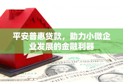 连山平安普惠贷款，助力小微企业发展的金融利器